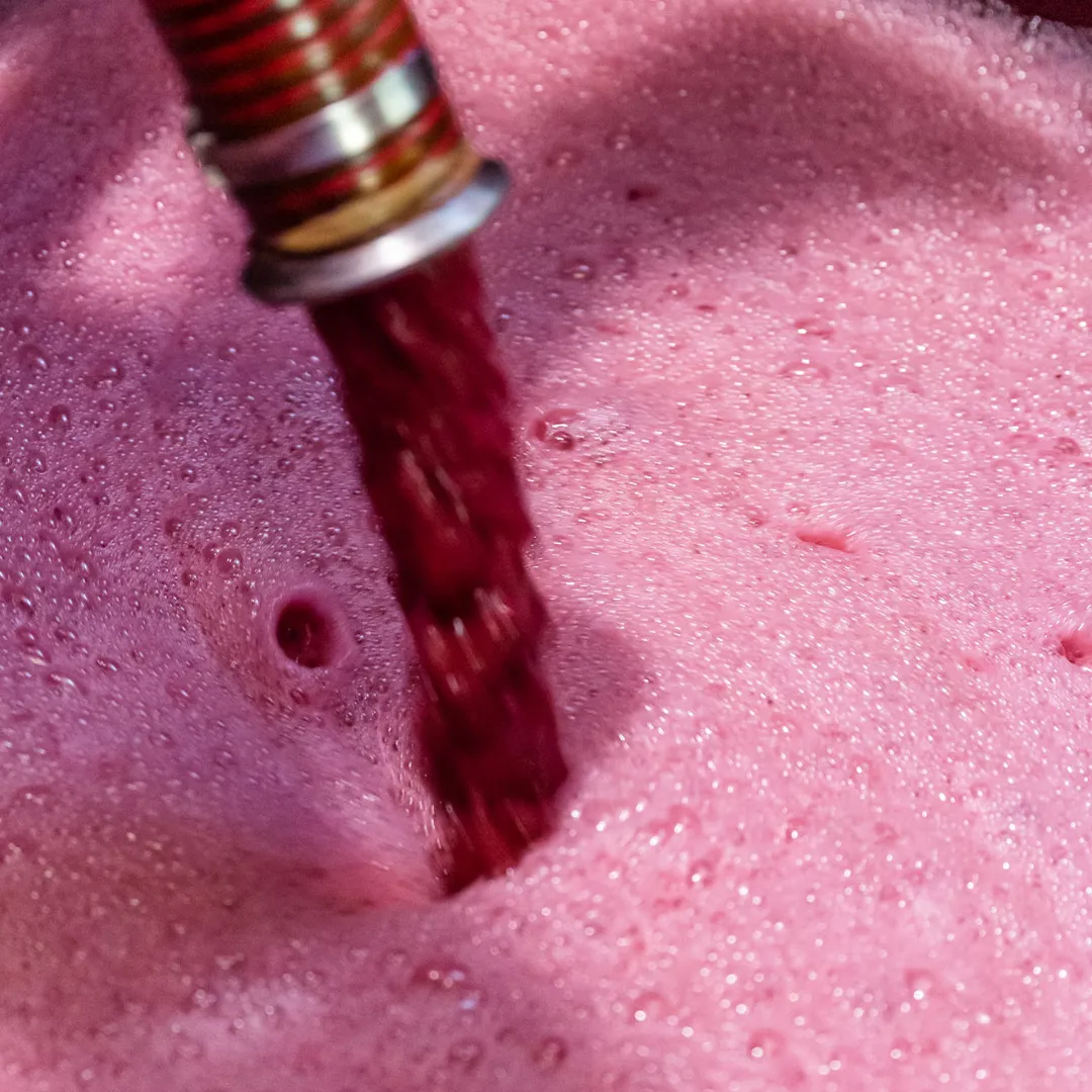 2020_10_03_Cantine_Piccini_Geografico-115