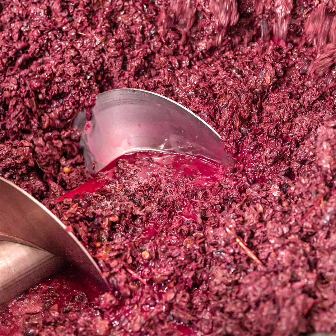 2020_10_03_Cantine_Piccini_Geografico-162