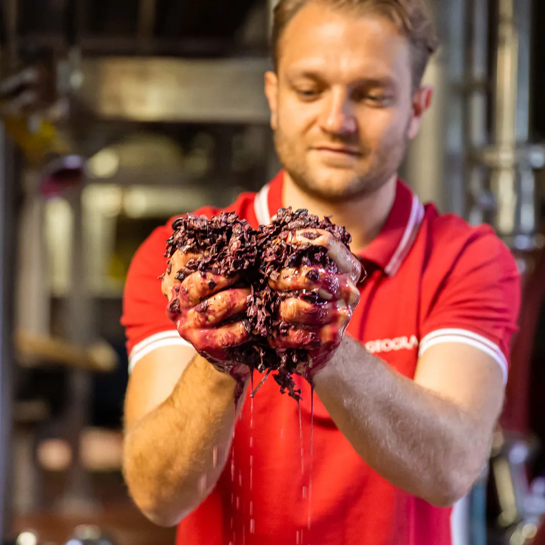 2020_10_03_Cantine_Piccini_Geografico-184